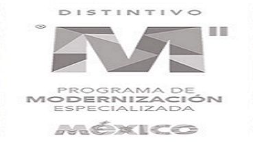 Distintivo M Especializado image